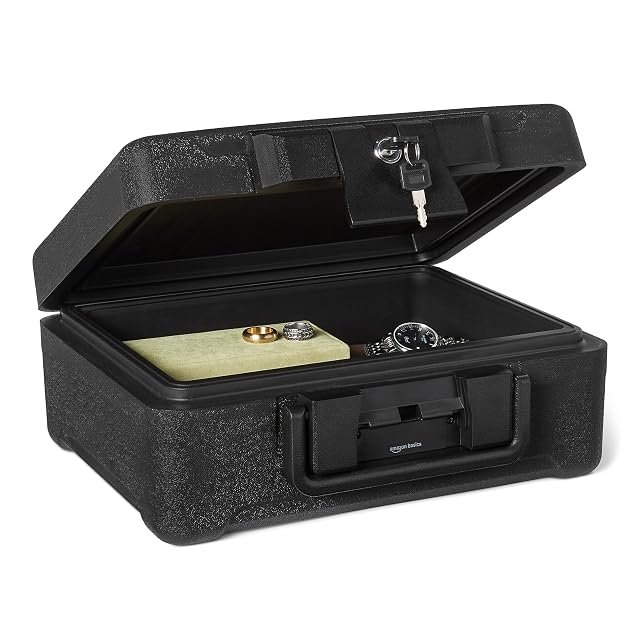 Amazon Basics fireproof document box