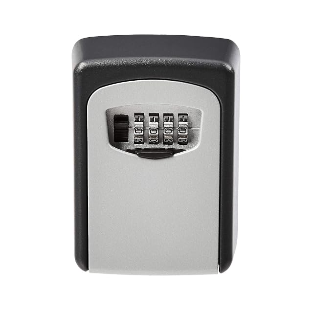 Amazon Basics wall-mounted key safe with cover