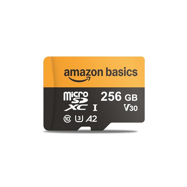 Amazon Basics 256 GB microSDXC card
