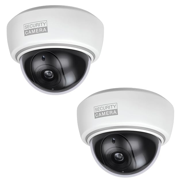 BASI two-pack of dome dummy cameras