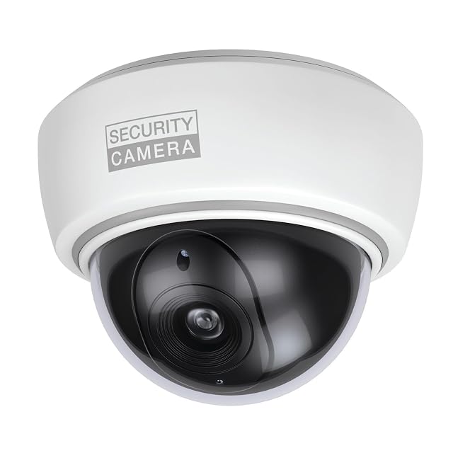 BASI dome dummy camera shell